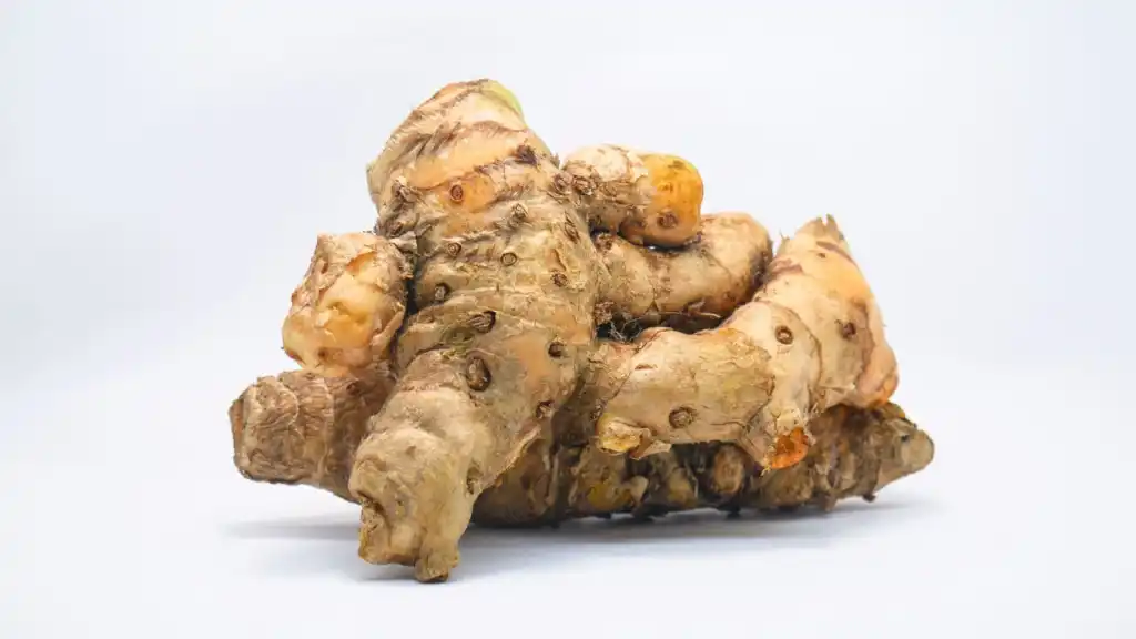 rempah indonesia